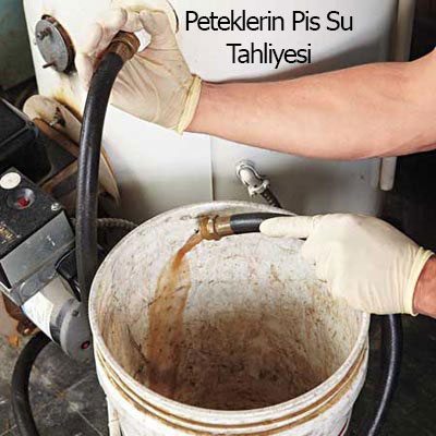 peteklerin temizliği nasıl yapılır