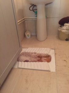 tikanmis tuvalet resimleri