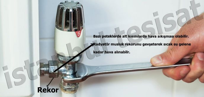 Alternatif Petek Havası Alma Yöntemleri