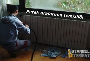 makineyle petek aralarını temizleyen usta